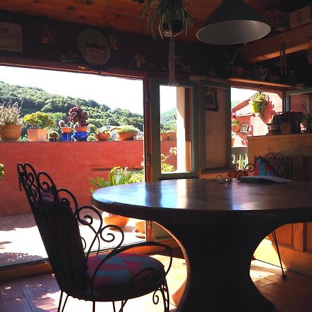Chambre D'Hotes Le Rougeyras Roquebrun ภายนอก รูปภาพ